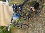 Scott Spark 900rc