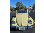 1969 Volkswagen Beetle Convertible