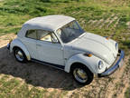 1979 Volkswagen Beetle Super Convertible