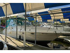 1995 Cruisers 3175 Rogue
