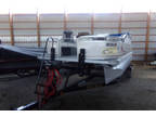2010 Avalon CT1823 Fish