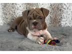 Ralph