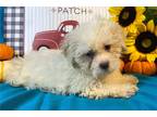 Peaches Three M