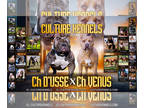 American Bully PUPPY FOR SALE ADN-840486 - Ch GHBs Venus X Ch Dusse