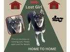 German Shepherd Dog Mix DOG FOR ADOPTION RGADN-1387191 - *Lost Girl (Home to