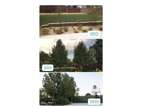 Expert Landscaping Services for Commercial Areas in Las Vegas