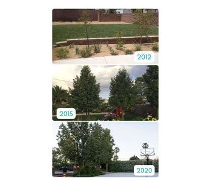 Expert Landscaping Services for Commercial Areas in Las Vegas is a Landscaping service in Las Vegas NV