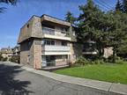 1 Bedroom & 1 Bathroom Fully Renovated