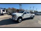 2023 Ford F-450 Super Duty Platinum DRW