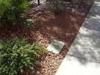 Sprinkler Solutions: Keep Your Lawn Lush