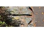 Antique Ships Anchor