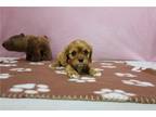 Rayna