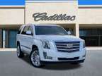 2019 Cadillac Escalade Platinum Edition