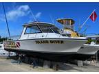 30 foot Island Hopper 30