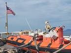 23 foot Zodiac Hurricane 630