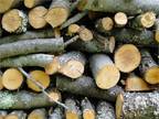 Fireplace Wood!!