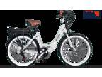 E Bike Cruiser