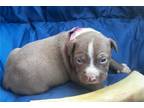 Pinky