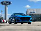 2024NewFordNewMustangNewFastback