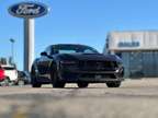 2024NewFordNewMustangNewFastback