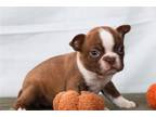 Fudge