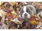 Franklin
