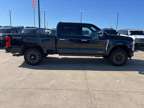2024 Ford F-250 Super Duty Platinum