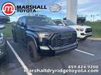 2023 Toyota Tundra Hybrid TRD Pro