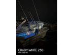 25 foot Grady-White 250 Doplhin