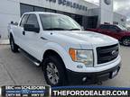 2013 Ford F-150 STX