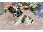 josie shih pink
