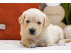 Mable
