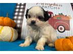 Mollys Two M