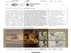 German Shepherd Dog DOG FOR ADOPTION RGADN-1392367 - Zinzi - German Shepherd Dog