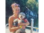 Experienced & Reliable Pet Sitter in Santa Cruz, CA $25/hr