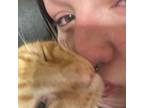 Experienced and Reliable Pet Sitter in Vinton, VA Affordable Rates