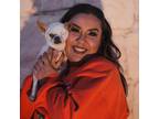 Trustworthy and Reliable Pet Sitter in El Paso, Texas - $60 Daily