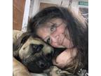 Experienced and Reliable Pet Sitter in Union, MO $40 Daily