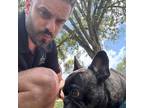 Experienced Pet Sitter in Jacksonville, FL Offering Reliable and Affordable Care