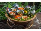 Business For Sale: Modern Restaurant