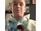 Experienced Ocean Shores Pet Sitter Offering Reliable Care at $100/Day