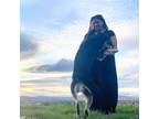 Experienced and Reliable Sitter in Selah, WA Affordable Rates