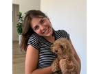 Experienced Flagstaff Sitter Reliable and Trustworthy Care $19/hr