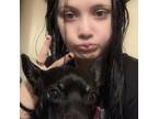 Experienced and Reliable Pet Sitter in Hanford, CA $20/hr
