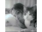 Experienced and Caring Miami Beach Pet Sitter - $18 Daily