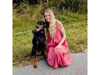 Experienced Pet Sitter in Fort Lauderdale, Florida - Trustworthy and Affordable