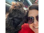 Experienced and Reliable Pet Sitter in West Chester, PA $22/hr