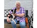 Archie/qiqi (chee-chee)~ (dolly), Rat Terrier For Adoption In Columbia