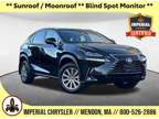 2021 Lexus NX 300 Base AWD