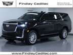 2024 Cadillac Escalade Esv Premium